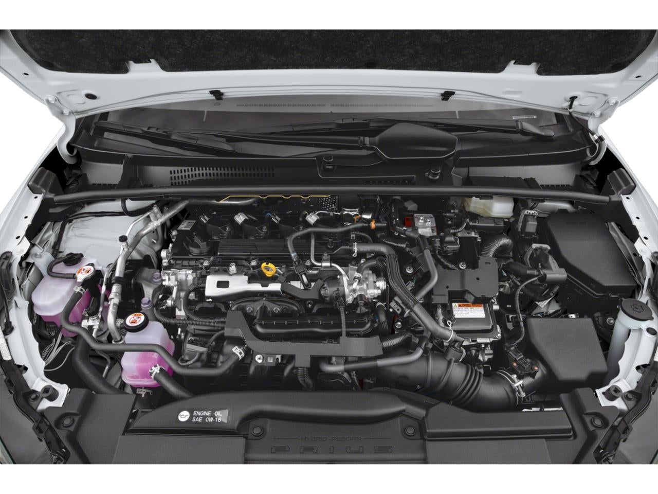 2024 Toyota Prius XLE (Natl)