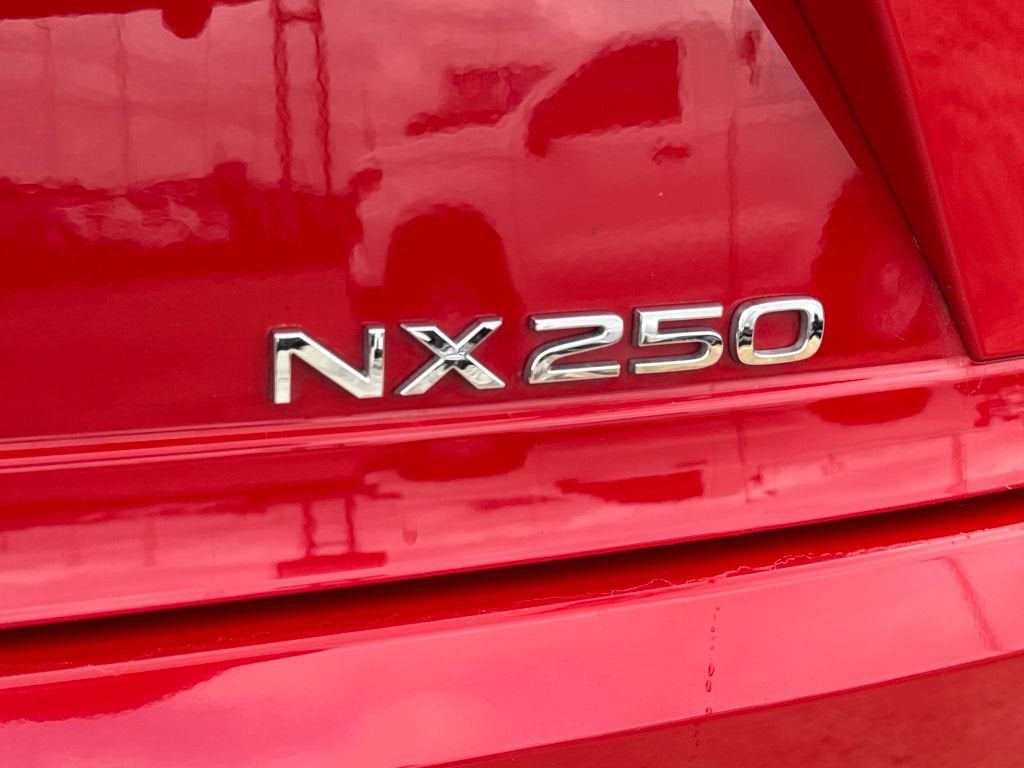 2025 Lexus NX NX 250 Premium